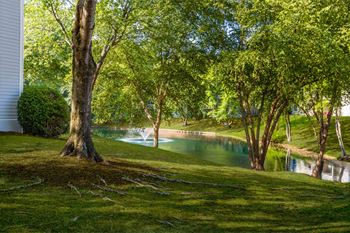 a pool of water surrounded by trees next to a house